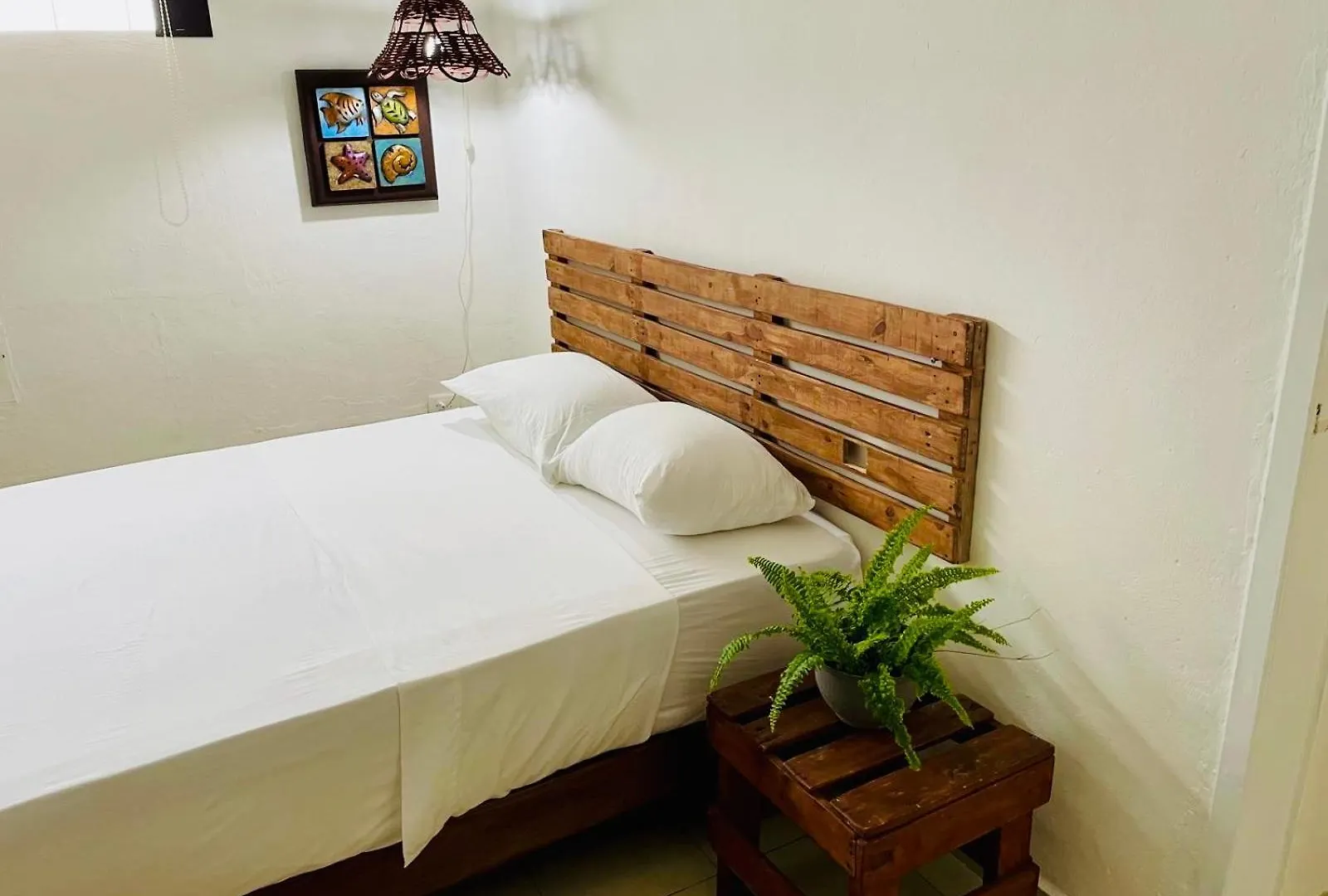 Affittacamere Hotel Caribo Cozumel