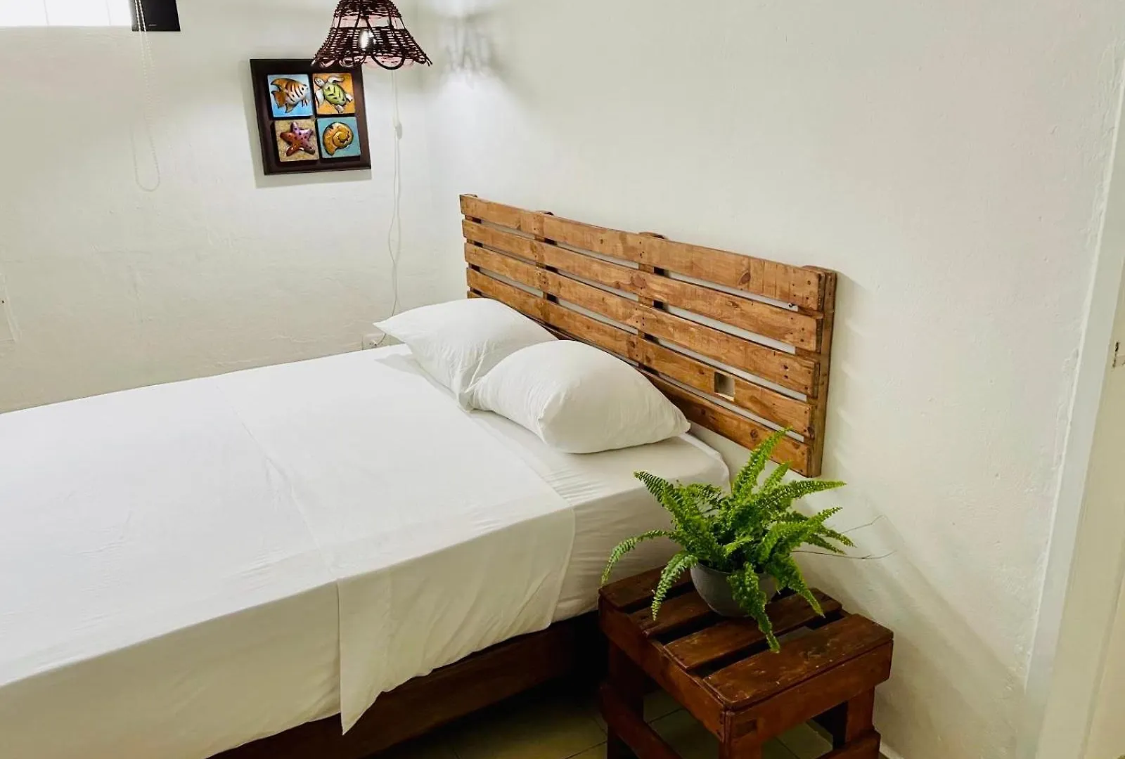 Hotel Caribo Cozumel Affittacamere