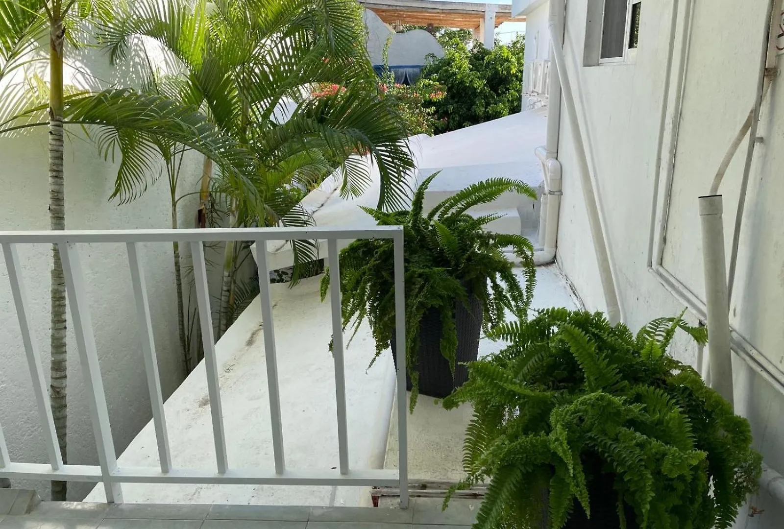 Hotel Caribo Cozumel Messico